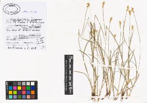 SW_BNB_s3040-00873_IMG-0000000001
