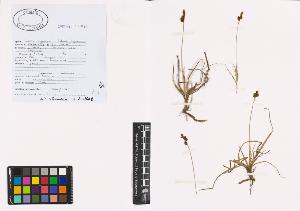 SW_BNB_s3040-00877_IMG-0000000001
