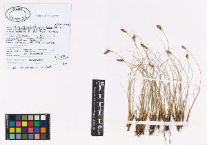 SW_BNB_s3040-00882_IMG-0000000001