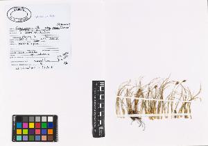 SW_BNB_s3040-00883_IMG-0000000001