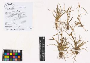 SW_BNB_s3040-00887_IMG-0000000001