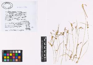 SW_BNB_s3040-00890_IMG-0000000001