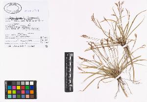 SW_BNB_s3040-00895_IMG-0000000001