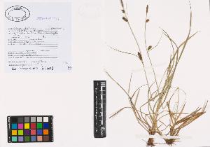 SW_BNB_s3040-00898_IMG-0000000001