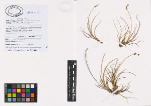 SW_BNB_s3040-00900_IMG-0000000001