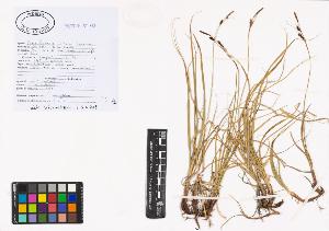 SW_BNB_s3040-00906_IMG-0000000001