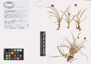 SW_BNB_s3040-00916_IMG-0000000001