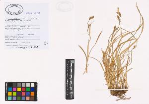 SW_BNB_s3040-00917_IMG-0000000001