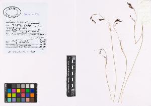 SW_BNB_s3040-00922_IMG-0000000001