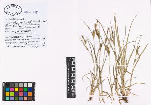 SW_BNB_s3040-00931_IMG-0000000001