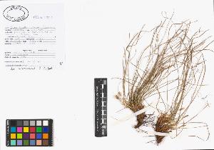 SW_BNB_s3040-00932_IMG-0000000001
