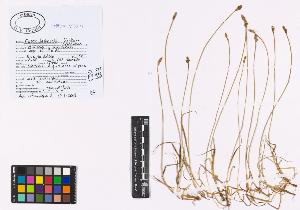 SW_BNB_s3040-00936_IMG-0000000001