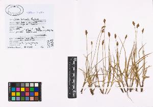 SW_BNB_s3040-00937_IMG-0000000001