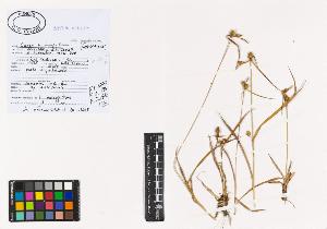 SW_BNB_s3040-00940_IMG-0000000001