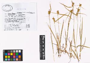 SW_BNB_s3040-00942_IMG-0000000001