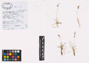 SW_BNB_s3040-00946_IMG-0000000001