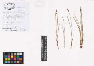 SW_BNB_s3040-00949_IMG-0000000001