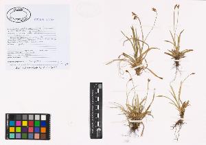 SW_BNB_s3040-00956_IMG-0000000001