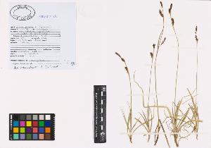 SW_BNB_s3040-00971_IMG-0000000001
