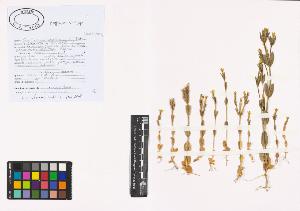SW_BNB_s3040-00980_IMG-0000000001