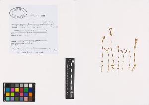 SW_BNB_s3040-00981_IMG-0000000001