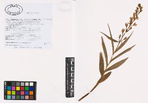 SW_BNB_s3040-00987_IMG-0000000001