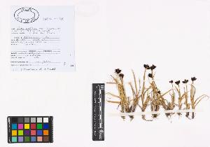SW_BNB_s3040-00997_IMG-0000000001