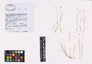 SW_BNB_s3040-01003_IMG-0000000001