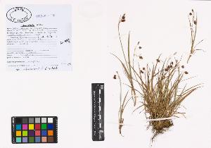 SW_BNB_s3040-01005_IMG-0000000001
