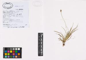 SW_BNB_s3040-01010_IMG-0000000001