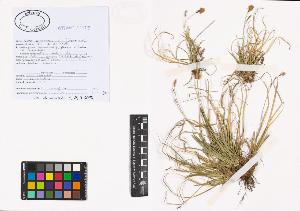 SW_BNB_s3040-01019_IMG-0000000001