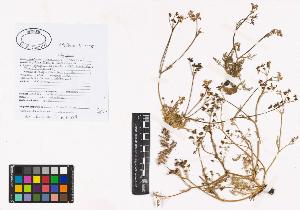 SW_BNB_s3040-01039_IMG-0000000001