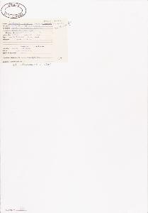 SW_BNB_s3040-01062_IMG-0000000001