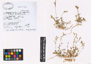SW_BNB_s3040-01081_IMG-0000000001