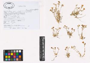 SW_BNB_s3040-01082_IMG-0000000001