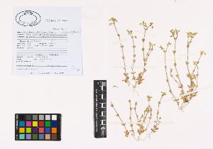 SW_BNB_s3040-01086_IMG-0000000001