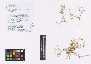 SW_BNB_s3040-01089_IMG-0000000001