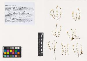 SW_BNB_s3040-01090_IMG-0000000001