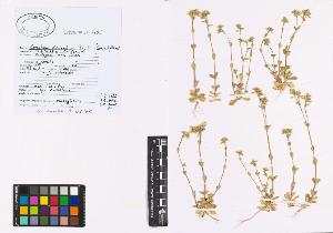 SW_BNB_s3040-01094_IMG-0000000001