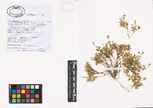 SW_BNB_s3040-01106_IMG-0000000001