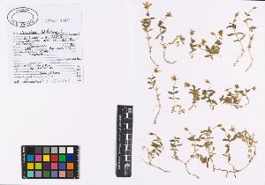SW_BNB_s3040-01109_IMG-0000000001