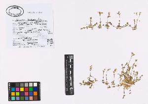SW_BNB_s3040-01110_IMG-0000000001