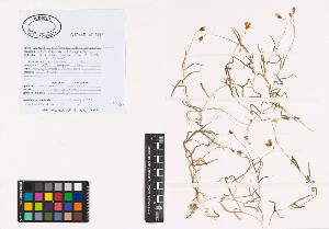 SW_BNB_s3040-01111_IMG-0000000001