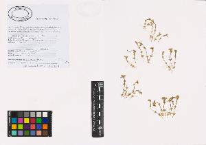 SW_BNB_s3040-01113_IMG-0000000001
