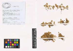 SW_BNB_s3040-01115_IMG-0000000001