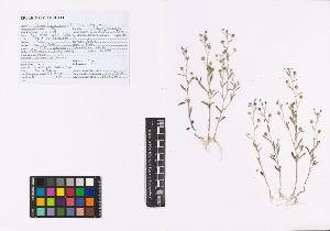 SW_BNB_s3040-01124_IMG-0000000001