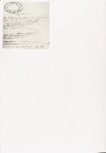 SW_BNB_s3040-01137_IMG-0000000001
