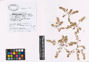 SW_BNB_s3040-01153_IMG-0000000001