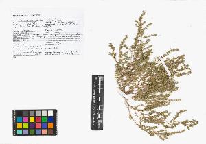 SW_BNB_s3040-01157_IMG-0000000001