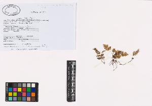 SW_BNB_s3040-01160_IMG-0000000001